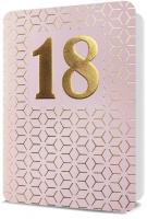 Opakowanie Karnet B6 Osiemnastka