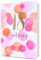 Opakowanie Karnet B6 Osiemnastka