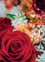 Opakowanie Karnet B6 Uniwersalny