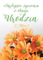 Opakowanie Karnet B6 Urodziny