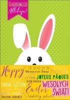Opakowanie Karnet B6 Wielkanoc