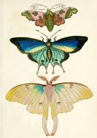 Opakowanie Karnet B6 z kopertą Ćmy