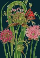 Opakowanie Karnet B6 z kopertą Czosnek nocą