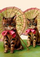 Opakowanie Karnet B6 z kopertą Kotki z parasolkami