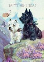 Opakowanie Karnet B6 z kopertą Urodziny 2 Szkockie Teriery