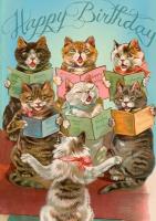 Opakowanie Karnet B6 z kopertą Urodziny Chór 7 kotów