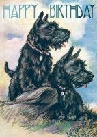 Opakowanie Karnet B6 z kopertą Urodziny Terier Szkocki