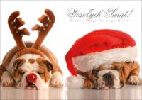 Opakowanie Karnet Boże Narodzenie