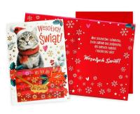 Opakowanie Karnet DK-1193 Boże Narodzenie