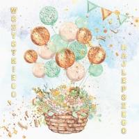 Opakowanie Karnet KW Kosz z balonami