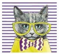 Opakowanie Karnet KW Kot seledyn