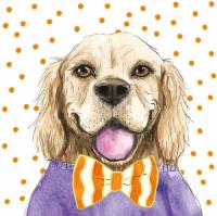 Opakowanie Karnet KW Pies pomarańcz