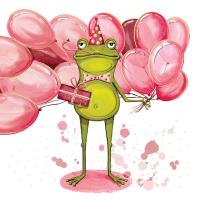 Opakowanie Karnet KW Żaba