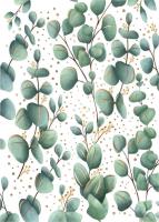 Karnet mini B8 Eukaliptus. Wydawca: Henry. SmakLiter.pl Opakowanie Karnet mini B8 Eukaliptus