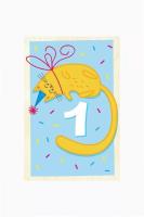 Opakowanie Karnet - Pierwsze urodziny kot