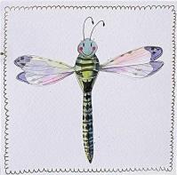 Opakowanie Karnet S519 Ważka