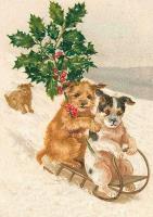 Opakowanie Karnet ST327 B6 + koperta Święta Pieski na sankach