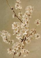 Opakowanie Karnet ST401 B6 + koperta Kwiaty migdałowca