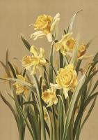 Opakowanie Karnet ST403 B6 + koperta Żonkile