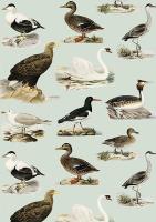 Opakowanie Karnet ST408 B6 + koperta Ptaki