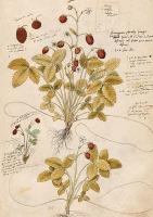 Opakowanie Karnet ST410 B6 + koperta Poziomka