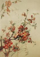 Opakowanie Karnet ST412 B6 + koperta Pigwowiec japoński