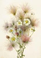 Opakowanie Karnet ST416 B6 + koperta Bukiet kwiatów