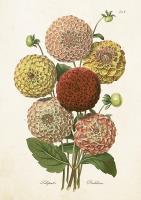 Opakowanie Karnet ST418 B6 + koperta Dalia