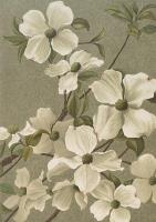 Opakowanie Karnet ST427 B6 + koperta Dereń