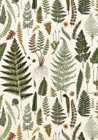 Opakowanie Karnet ST428 B6 + koperta Paprotki