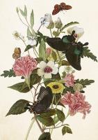 Opakowanie Karnet ST443 B6 + koperta Bukiet i motyle