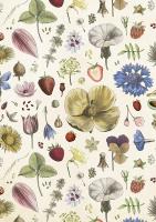 Opakowanie Karnet ST446 B6 + koperta Kwiaty lata