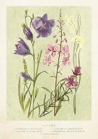 Opakowanie Karnet ST447 B6 + koperta Kwiaty polne wiosna