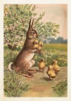 Opakowanie Karnet ST450 B6 + koperta Królik Wielkanoc