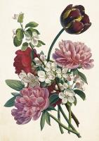 Opakowanie Karnet ST453 B6 + koperta Bukiet kwiatów