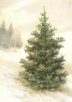 Opakowanie Karnet ST456 B6 + koperta Świerk