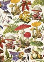 Opakowanie Karnet ST462 B6 + koperta Las grzybów