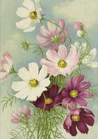 Opakowanie Karnet ST475 B6 + koperta Zawilec