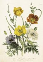 Opakowanie Karnet ST483 B6 + koperta Maki