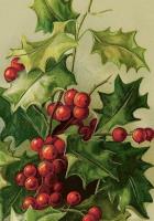 Opakowanie Karnet ST491 B6 + koperta Święta Ostrokrzew