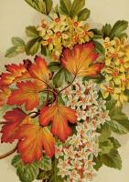 Opakowanie Karnet ST492 B6 + koperta Jesienne liście