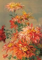 Opakowanie Karnet ST493 B6 + koperta Pomarańczowa dalia