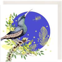 Opakowanie Karnet Swarovski kwadrat CL2011 Koliber