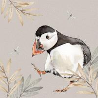 Opakowanie Karnet Swarovski kwadrat CL4702 Maskonur