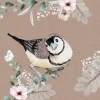 Opakowanie Karnet Swarovski kwadrat CL4704 Ptaszek