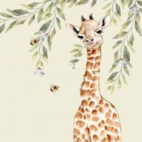 Opakowanie Karnet Swarovski kwadrat CL4712 Żyrafa