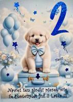 Opakowanie Karnet Urodziny 2 3K