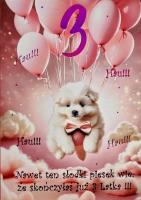 Opakowanie Karnet Urodziny 3 3K