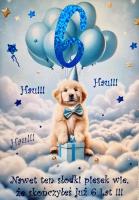 Opakowanie Karnet Urodziny 6 3K