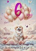 Opakowanie Karnet Urodziny 6 3K